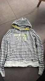 Scotch shrunk mt16 (176), Ophalen of Verzenden, Gebruikt, Jongen, Trui of Vest