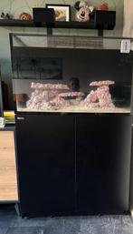 Zeeaquarium  Red Sea NIET opgestart. Zie beschrijving, Ophalen, Zo goed als nieuw, Leeg aquarium