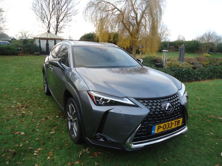 Lexus UX 300e 204pk Aut 2022 Grijs MARK LEVINSON, Auto's, Lexus, Bedrijf, UX, 360° camera, ABS, Achteruitrijcamera, Adaptieve lichten