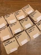 Leuke peper, tomatenzaden en andere groenten, Tuin en Terras, Bloembollen en Zaden, Ophalen of Verzenden, Gehele jaar, Volle zon