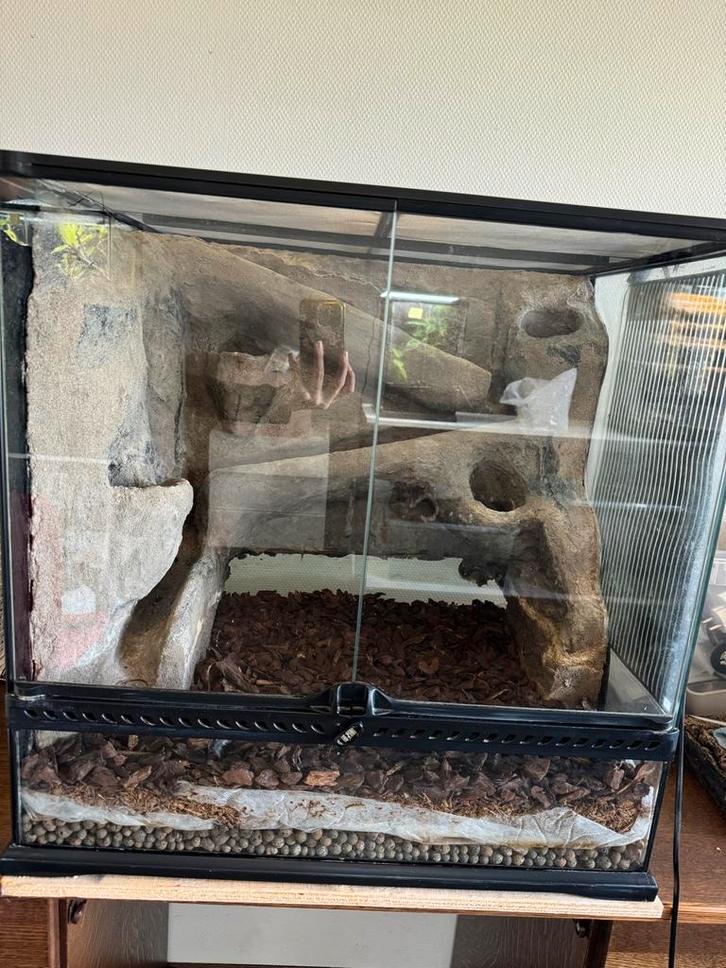 ExoTerra Terrarium, Dieren en Toebehoren, Reptielen en Amfibieën | Toebehoren, Zo goed als nieuw, Terrarium of Paludarium, Ophalen