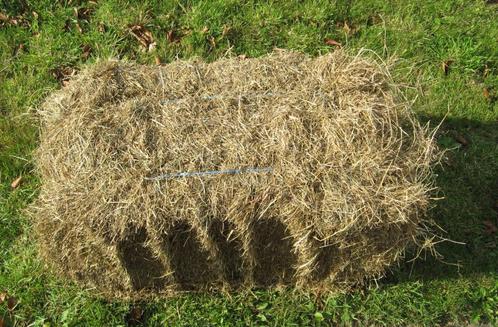 Hooi te koop 1e snede 2024, 163 kleine hoge druk balen, Dieren en Toebehoren, Dierenvoeding, Vee, Ophalen