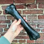 Spaakbeen oerpaard fossiel, Verzamelen, Ophalen of Verzenden, Fossiel