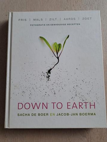 DOWN TO EARTH - Jacob-Jan Boerma en Sacha de Boer
 beschikbaar voor biedingen