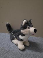Knuffel Husky ca 40 cm, Ophalen of Verzenden, Zo goed als nieuw, Hond