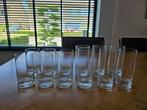 12 x schott en zwiesel glazen, Verzamelen, Glas en Borrelglaasjes, Ophalen, Zo goed als nieuw, Overige typen