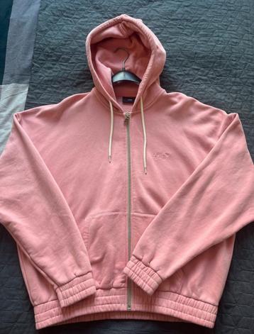 Lfdy vest beschikbaar voor biedingen