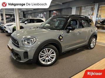 Mini Mini Countryman 2.0 Cooper S E ALL4 Business Edition,pa beschikbaar voor biedingen