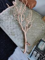 Decoratieve gedroogde tak, Ophalen