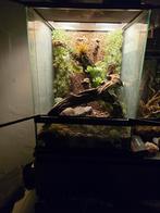 2x exoterra terrarium  45x45x60, Ophalen, Zo goed als nieuw, Terrarium of Paludarium