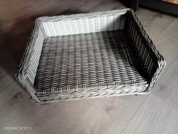 Honden mand beschikbaar voor biedingen
