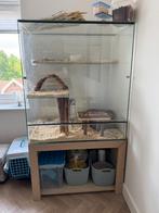 Gratis af te halen - Glazen kooi voor bv Chinchilla, Dieren en Toebehoren, Ophalen, Kooi, Gebruikt, 90 cm of meer