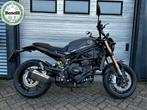 BENELLI LEONCINO 800 (bj 2025), 2 cilinders, Bedrijf, Naked bike, Meer dan 35 kW