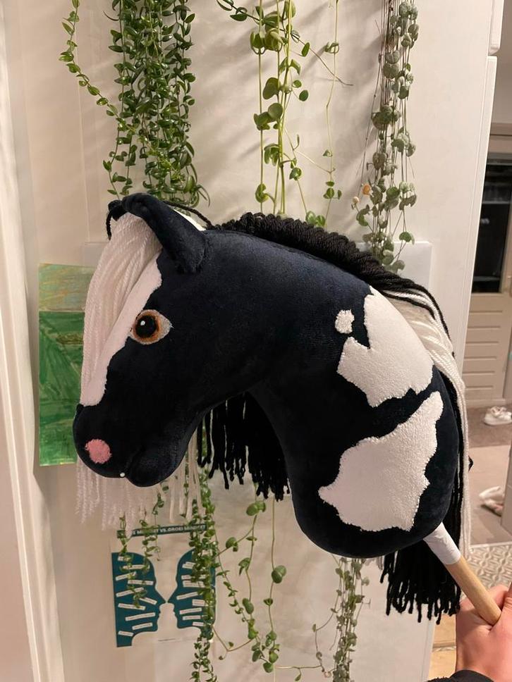 Handgemaakte Tinker Hobby Horse, Kinderen en Baby's, Speelgoed | Overig, Gebruikt, Jongen of Meisje, Ophalen of Verzenden