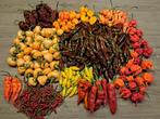 peperzaden van mild tot extreem hete peper Complete set., Tuin en Terras, Bloembollen en Zaden, Ophalen of Verzenden, Voorjaar