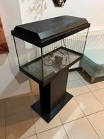 Aquarium 60 liter incl. poot, Ophalen, Leeg aquarium