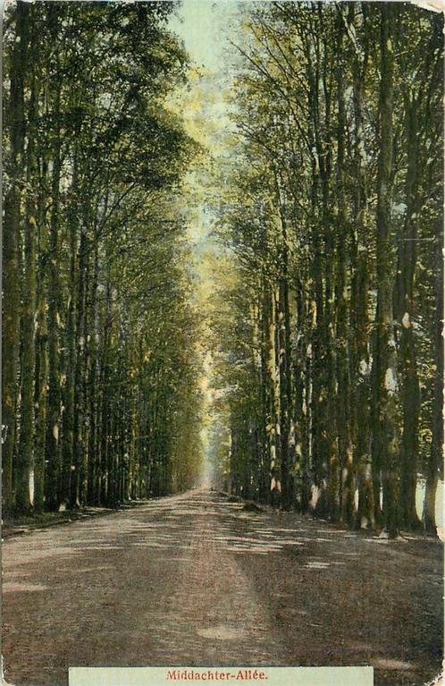 (387-235-007) De Steeg Middachter Allee, Verzamelen, Ansichtkaarten | Nederland, Gelderland, Verzenden