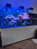 Red sea reageren 750, Dieren en Toebehoren, Vissen | Aquaria en Toebehoren, Ophalen