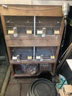 Vogel spullen (van alles), Dieren en Toebehoren, Vogels | Overige Vogels, Meerdere dieren, Wildzangvogel, Tam