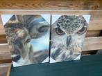 3D uil en rendier fotoprint op MDF p/st, Ophalen of Verzenden, Nieuw, Schilderij, Minder dan 50 cm
