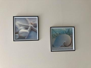 Strandthema Foto's - Set van 2 beschikbaar voor biedingen