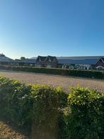 Stalling voor uw paard all inclusief of kale stallen huren., Weidegang, 4 paarden of pony's of meer