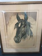 Paard in lijst, Antiek en Kunst, Kunst | Schilderijen | Klassiek, Ophalen of Verzenden