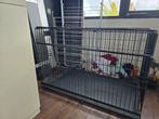 Hondenbench 120x73x80 alleen ophalen, Dieren en Toebehoren, Ophalen, Zo goed als nieuw