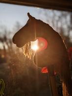 Prachtige hobbyhorse "Rose", Ophalen of Verzenden