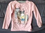 Dopodopo Longsleeve Roze (Verliefd Op Paard) (Maat 110), Kinderen en Baby's, Kinderkleding | Maat 110, Gebruikt, Meisje, Ophalen of Verzenden