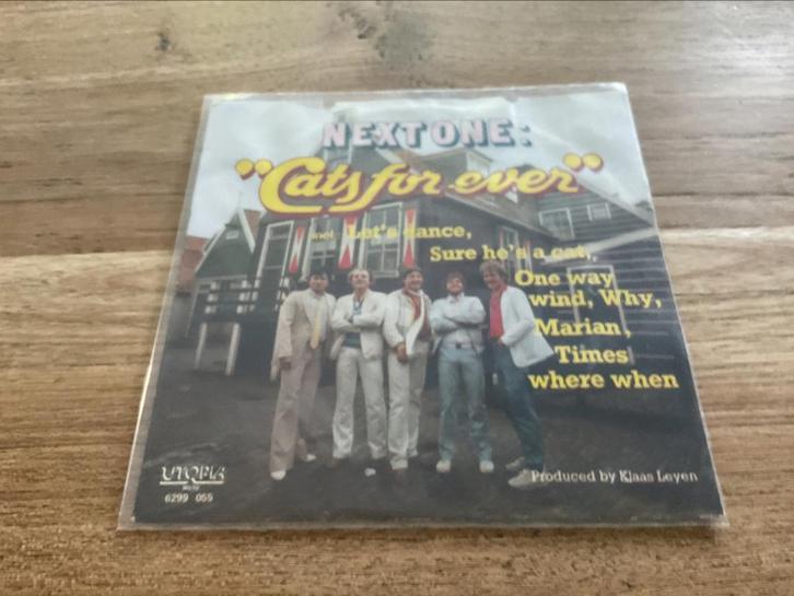 Next One, Cats for ever, Cd's en Dvd's, Vinyl Singles, Single, 7 inch, Ophalen of Verzenden