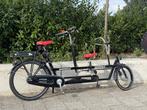 Elektrische kind ouder tandem, Ophalen, Minder dan 10 versnellingen, Minder dan 49 cm, 55 cm of meer