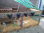 Goed huisje/boerderij gezocht voor 2grote konijnen, Meerdere dieren