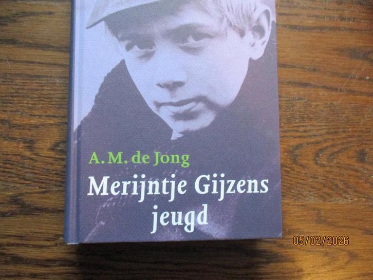 merijntje gijzens jeugd:   de Jong  9789025322601 #, Boeken, Overige Boeken, Gelezen, Ophalen of Verzenden