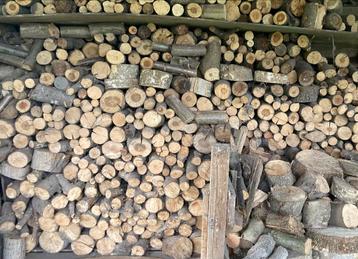Gekapt & Gedroogd Hout - 5m3 beschikbaar voor biedingen