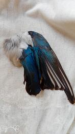 Hoedendecoratie/Verencorsage, Verzenden