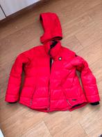 Gehandicapten  jas Gaastra xxl, Ophalen of Verzenden, Zo goed als nieuw, Rood