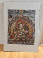 Prachtige Tara in wissellijst met passe-partout, Huis en Inrichting, Woonaccessoires | Schilderijen, Tekeningen en Foto's, Ophalen