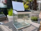 Aquarium met accessoires, Ophalen, Gebruikt, Leeg aquarium