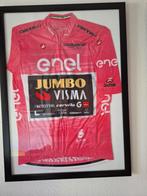 Roze Trui 2023 - Primoz Roglic - Giro d'Italia, Ophalen of Verzenden, Nieuw, Kleding