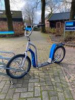 Degelijke hondenstep, Fietsen en Brommers, Ophalen, Gebruikt, Gewone step