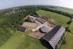 Pensionstalling, Dieren en Toebehoren, Stalling en Weidegang, Stalling, 4 paarden of pony's of meer