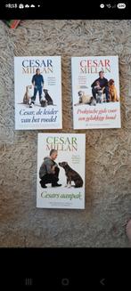 Cesar Milan Boeken Serie - Hondentraining, Ophalen of Verzenden, Zo goed als nieuw, Honden, Cesar Milan