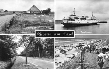 (377-465-019) Texel Multiview beschikbaar voor biedingen