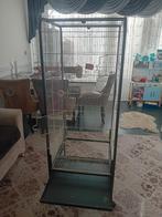 Papegaaienkooi, Dieren en Toebehoren, Ophalen