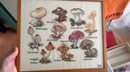 Geborduurd paddestoelen kunstwerk in lijst, Ophalen, Zo goed als nieuw, Overige typen, Overige merken