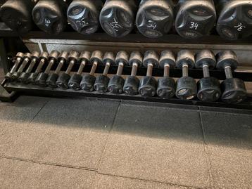 Lifemaxx dumbellset beschikbaar voor biedingen