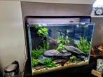 Superfish home 85, Ophalen, Zo goed als nieuw, Leeg aquarium
