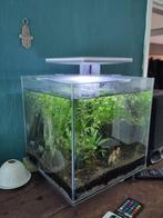 Qubic 30 Pro - Wit, Dieren en Toebehoren, Vissen | Aquaria en Toebehoren, Ophalen, Gebruikt, Leeg aquarium