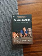 Cesar Millan - Cesars aanpak, Honden, Zo goed als nieuw, Cesar Millan, Ophalen of Verzenden